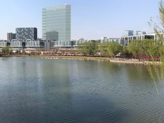 -大兴滨河森林公园