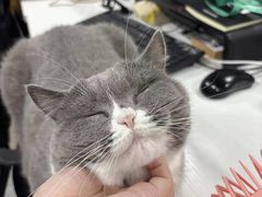 -无趣桌游狼人杀店