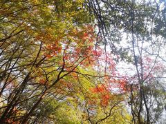 -终南山南五台景区