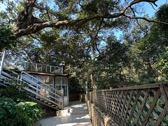 -洞背山庄(洞背院区式管理小区店)