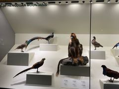 -四川大学博物馆