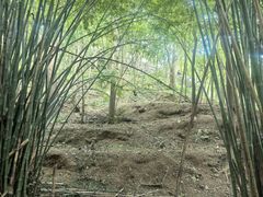 -黄陂区野村谷景区