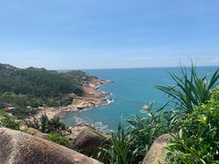 -广东惠东海龟国家级自然保护区