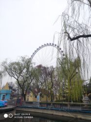 -飞览天下沉浸式飞行体验(北京旗舰店)