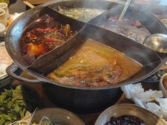 -白乐天毛肚火锅馆(南滨路店)