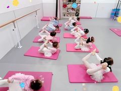 -小芳舞蹈团·少儿舞蹈·中国舞(龙江校区)