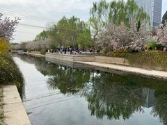 -元大都城垣遗址公园