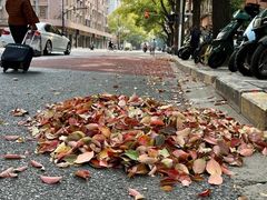 -虹口区工人文化宫