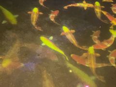 -辋川溶洞