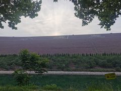 -黄河小浪底水利枢纽风景区