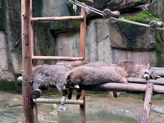 -杭州野生动物世界