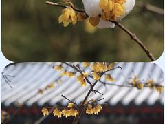 -月坛公园