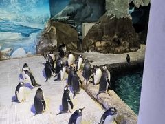 -成都浩海立方海洋公园