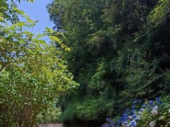 -南昌青山湖风景区