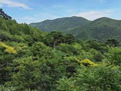 -妙峰山风景名胜区