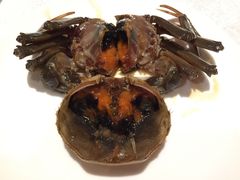 -新光酒家·河豚·海鲜·蟹料理(浦东店)