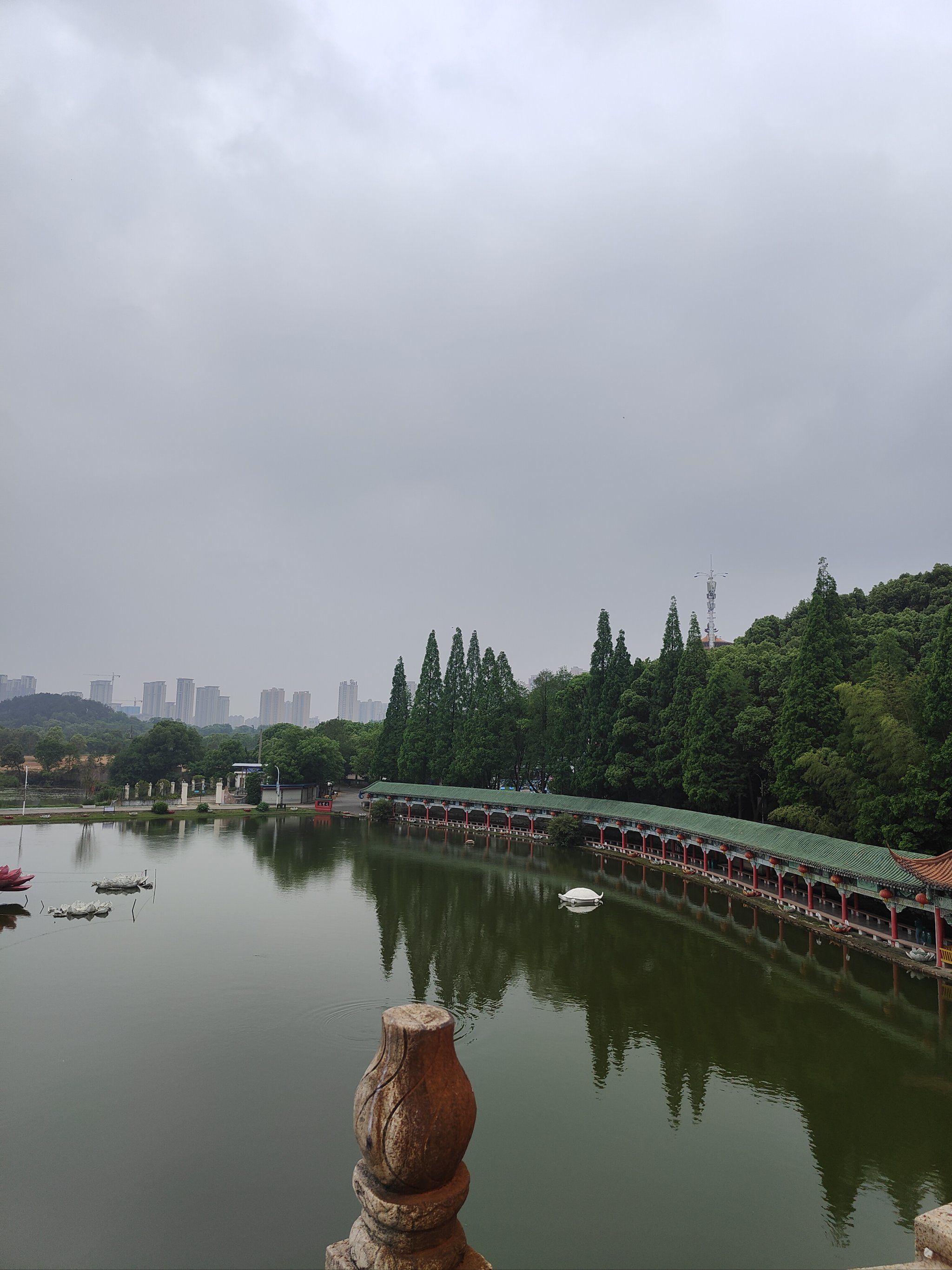 鄂州 一日游 莲花山