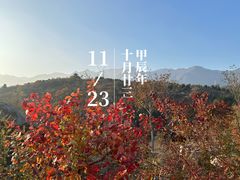 -白水寺森林公园