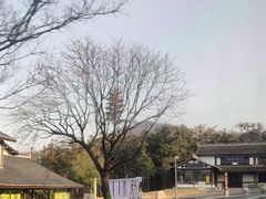 -句容茅山景区