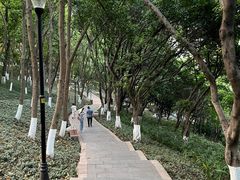 -龙头寺公园