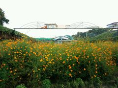 -广州花之恋城堡酒店