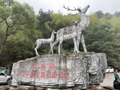 -长沙黑麋峰国家森林公园
