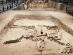 -洛阳周王城天子驾六博物馆