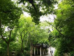 -灵岩山风景区