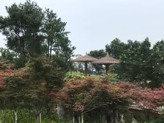 -铁山坪森林公园