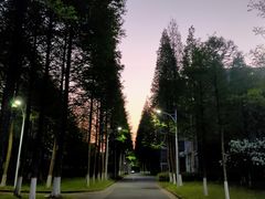 -杭州师范大学(下沙校区)