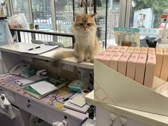 -西安京西宠物医院·瘫痪·疑难杂症