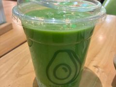 -油梨树AVOCADO TREE(望京店)