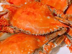 -旺角小渔村·海肠捞饭开创者(环山路店)
