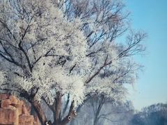 -北陵公园