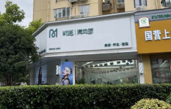 -M·MYLINE满地荷造型