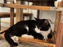 -笨罗卜浏阳菜馆(高桥永祥店)