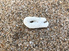 -白沙湾海滩