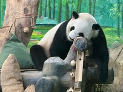 -灵玲国际马戏城