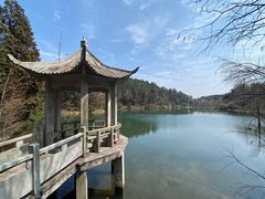 -四明山国家森林公园