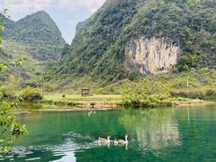 -靖西鹅泉风景区