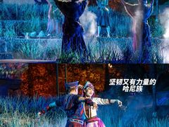 -云南民族村