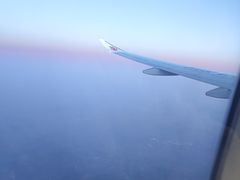 -新世界百货(明洞总店)