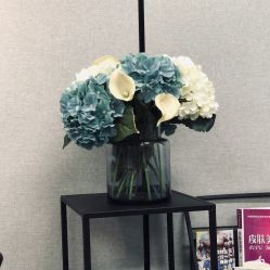 -MJ skin care国际皮肤管理中心