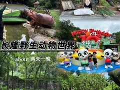 -广州长隆野生动物世界
