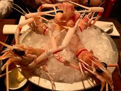 -斯普汇生蚝牛排馆(中骏世界城店)