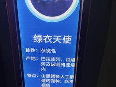 -海合安武汉极地海洋公园