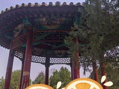 -北京凤凰岭