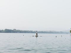 -西湖外事游船(花港观鱼码头)