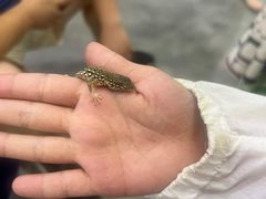 -手工艺活态馆
