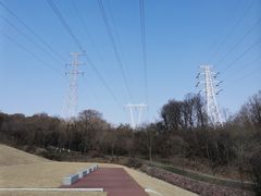 -佛手湖郊野公园